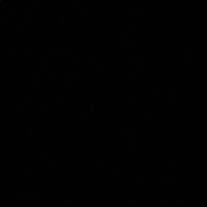 Meet your Posher, Cayne